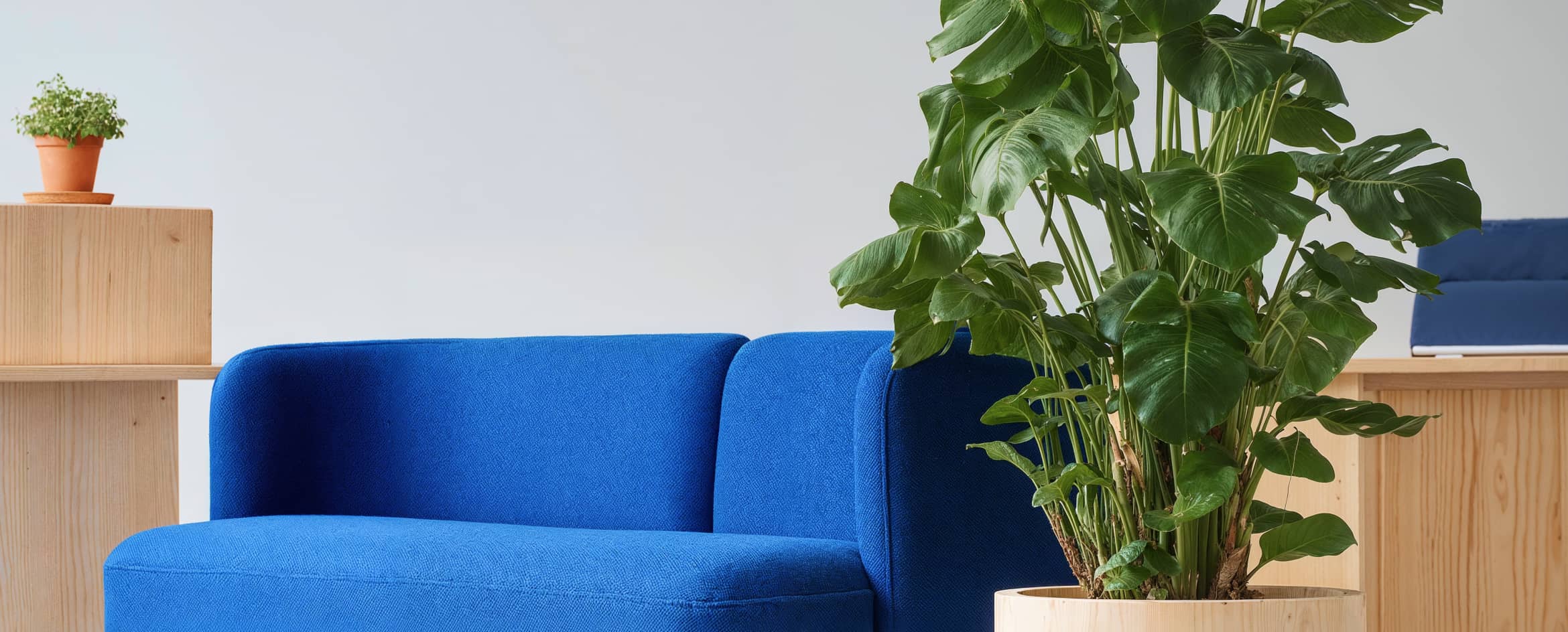 New York Thumbnail - Wealthflow Webflow Template | BRIX Template