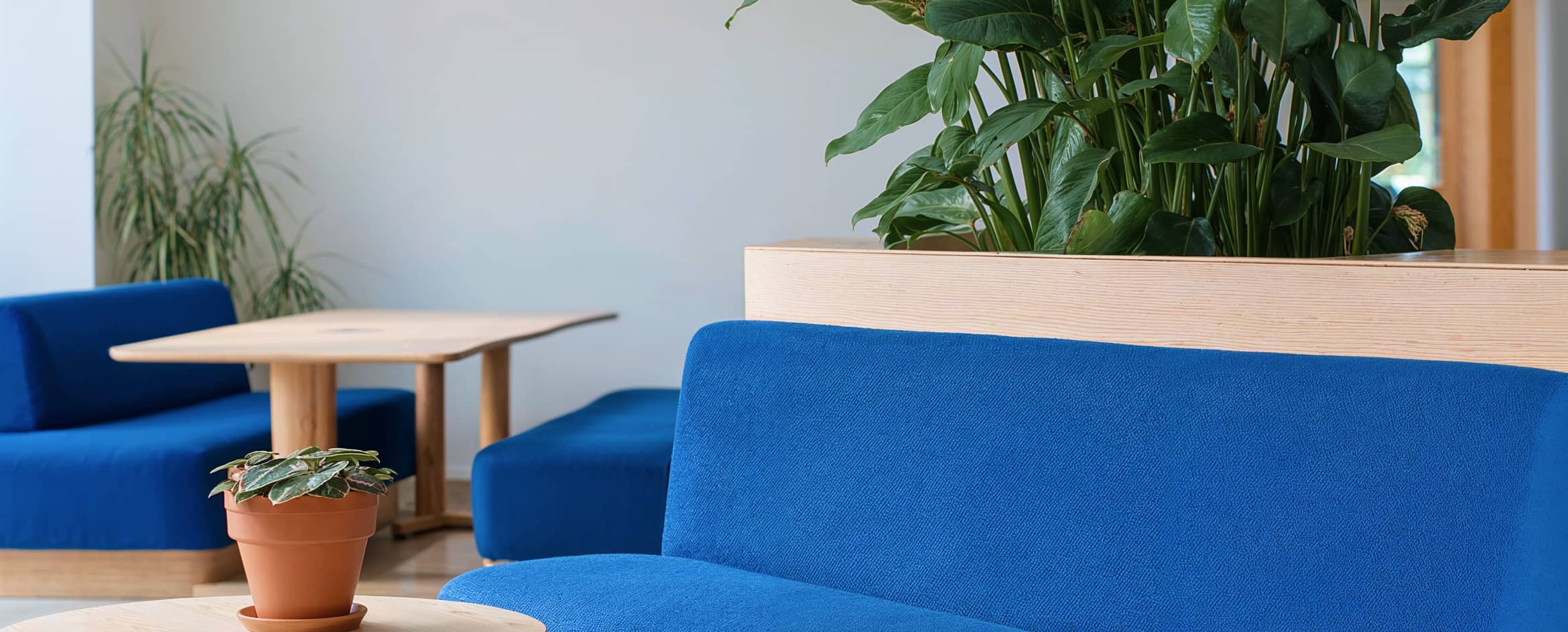 Hong Kong Thumbnail - Wealthflow Webflow Template | BRIX Template