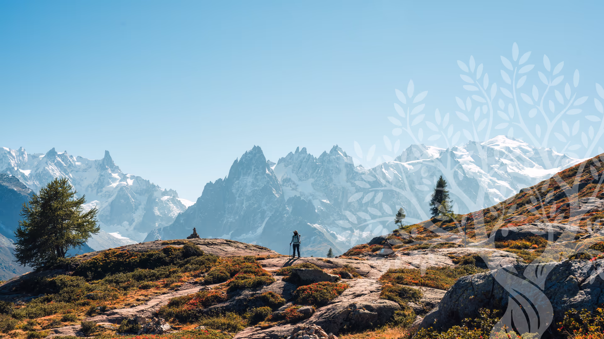 Hiker standing on rocky terrain with alpine vegetation against a backdrop of snowy jagged mountains under a clear blue sky.