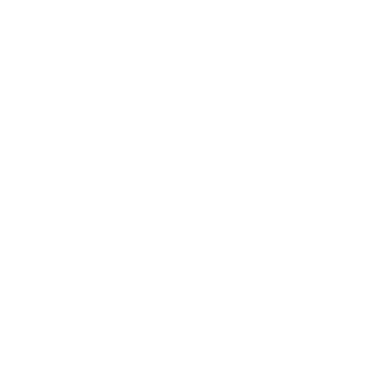 Icon instagram
