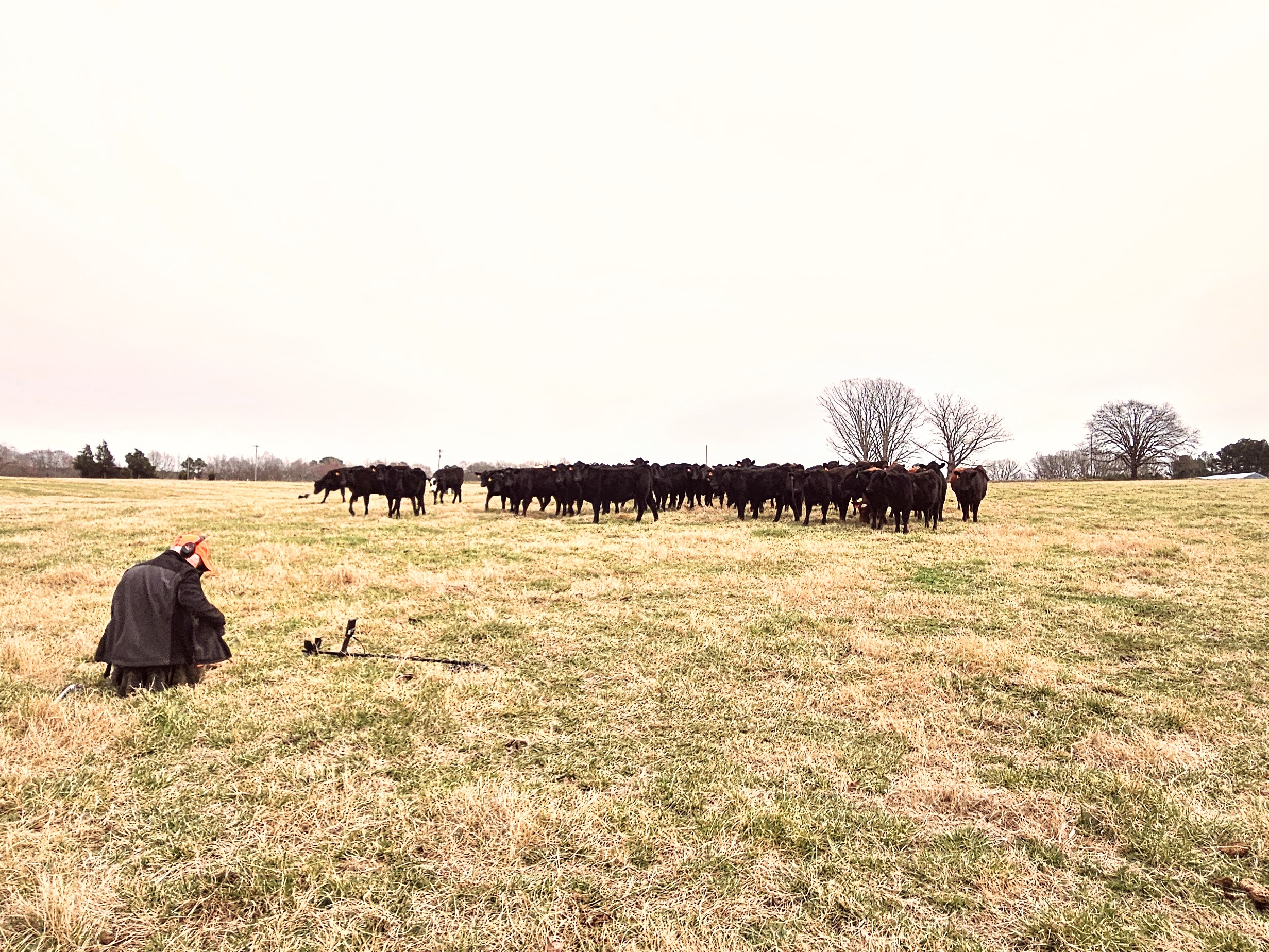 detecting in a field