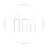 LinkedIn Icon