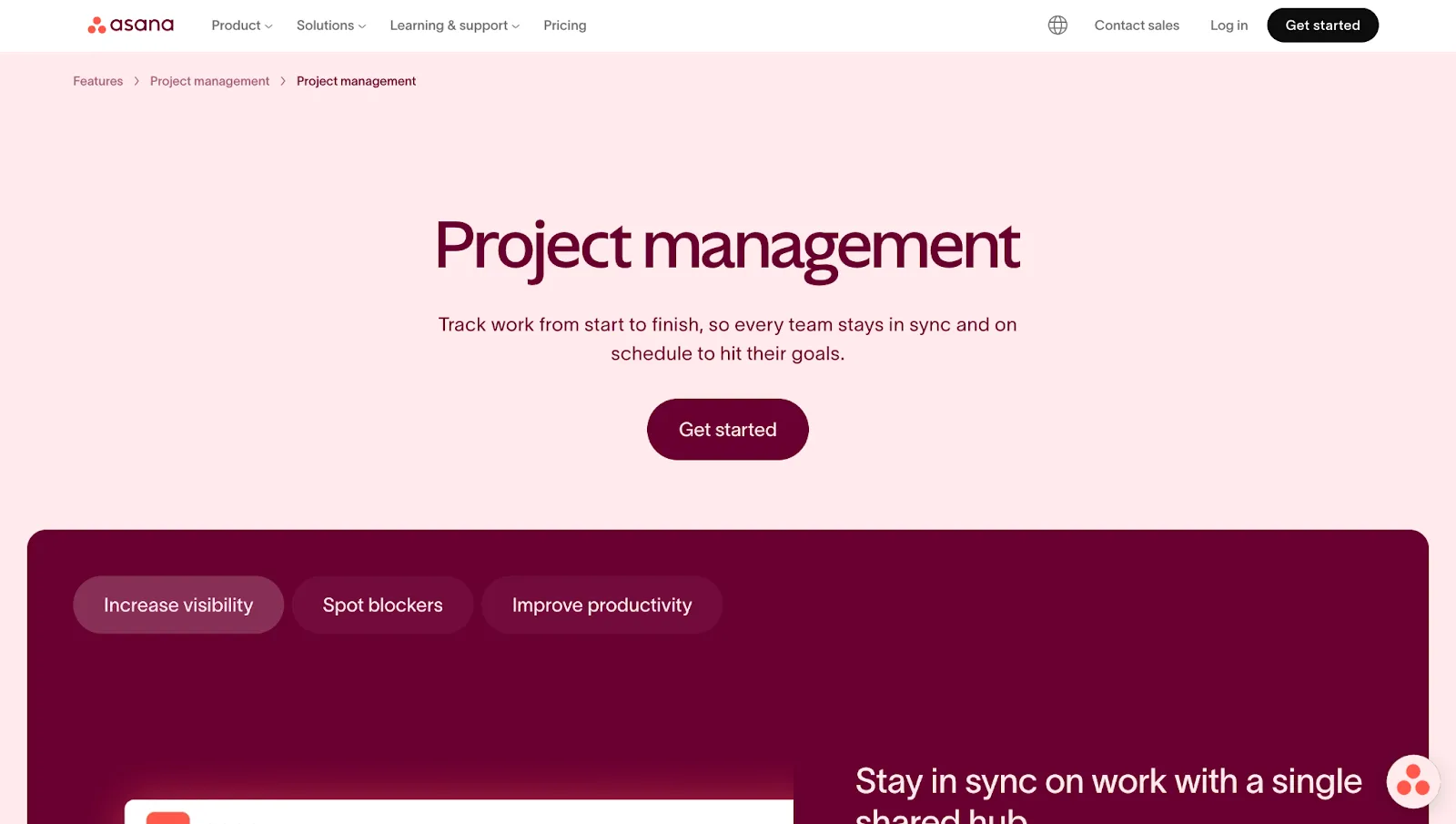 Asana leading project management tool for agencies