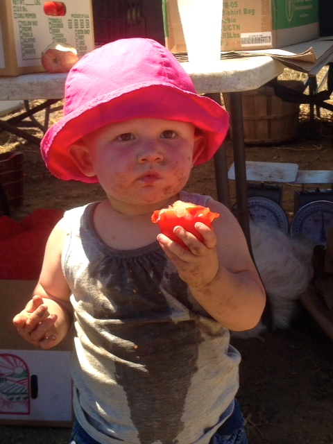 Families at Community Farm Day