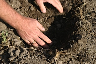 Testing soil