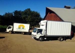 Farm delivery trucks