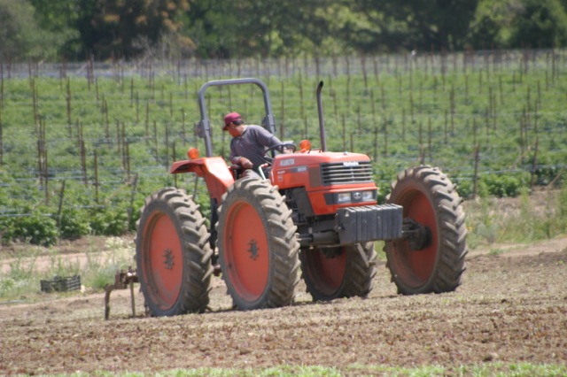 Tractor cultivating field