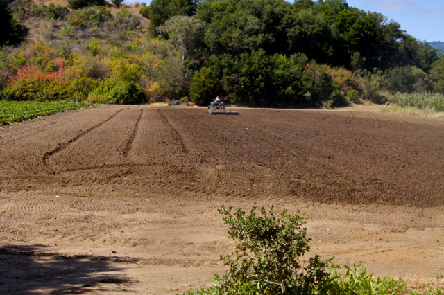 Field prep