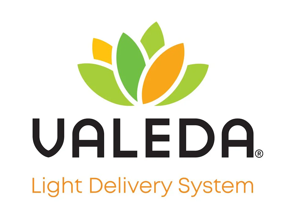 Valeda Light Delivery System Logo