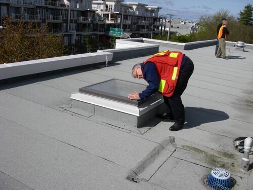 Data collection - Inspections - Skylight (1).jpg