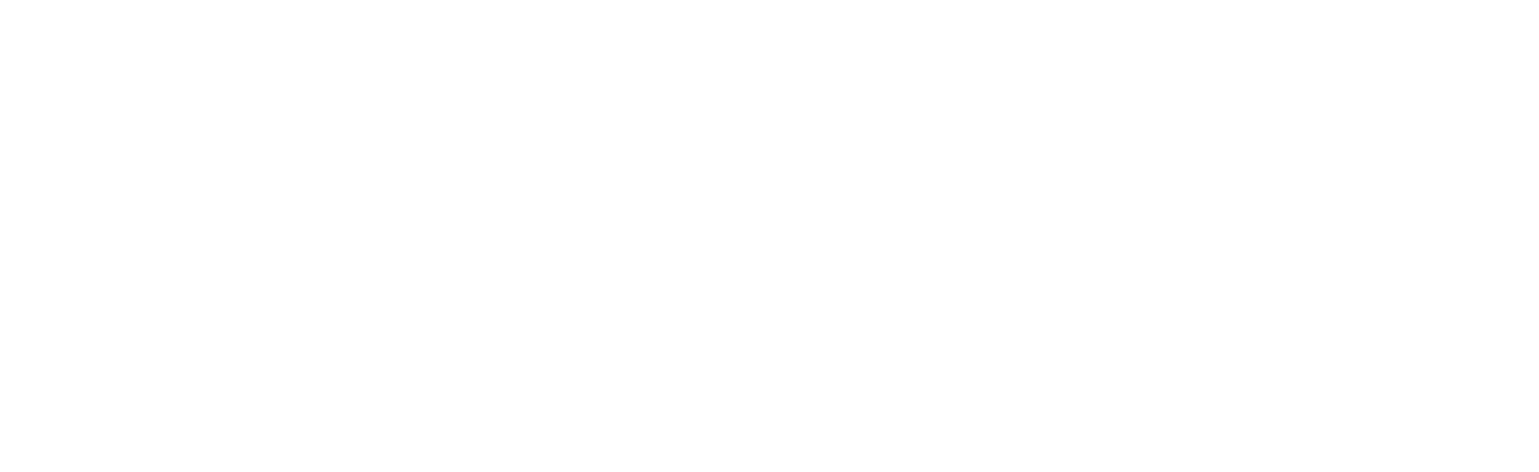 DR GPT™ wordmark