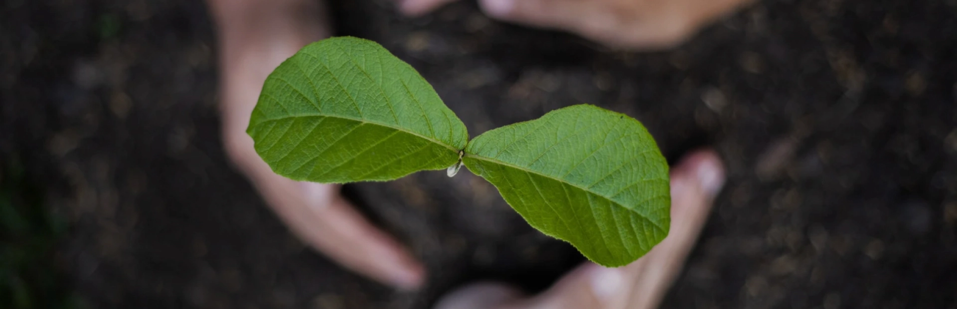 image of a contact center environment