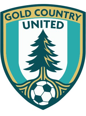 USA Stars Academy logo