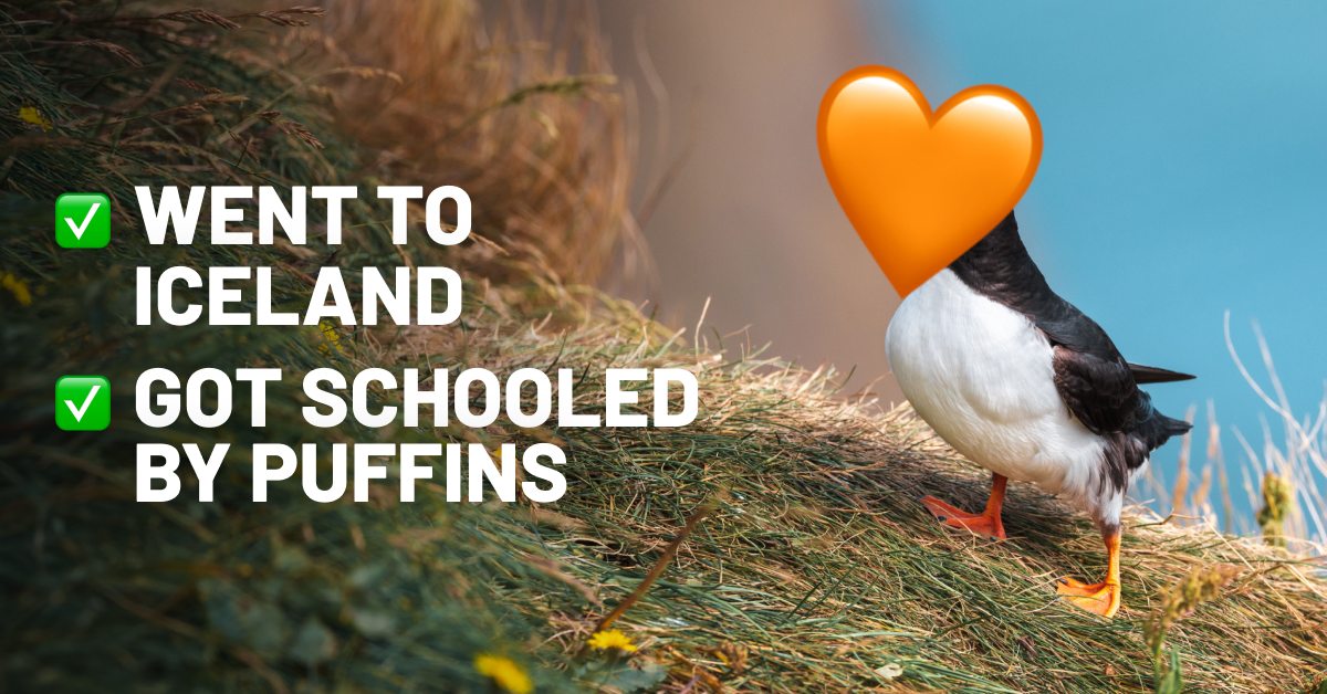 Puffin on Icelandic grass with campaign message under Stay Wild Iceland  Stop Sea Cages, symbol of wildlife and nature tourism