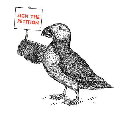 Puffin illustration with “Sign the Petition” call under Stay Wild Iceland Stop Sea Cages, urging action against salmon sea cages in Iceland