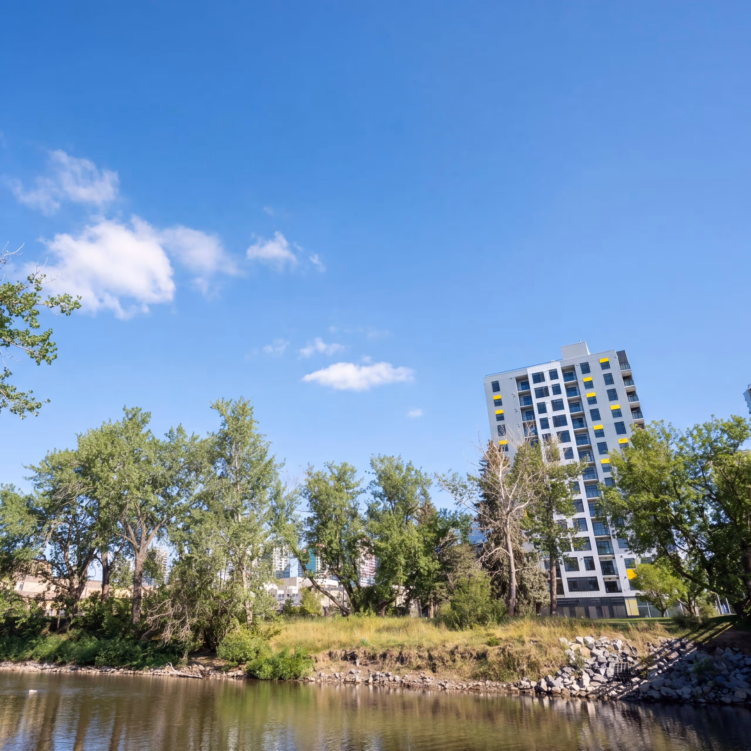 Riverbank with trees and a modern building with yellow accents under a clear blue sky.