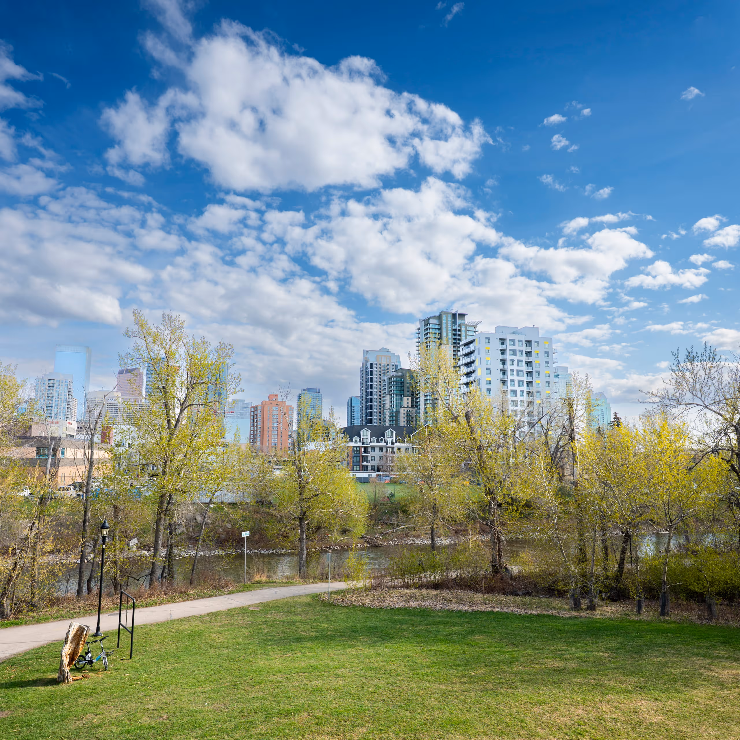 City skyline behind trees and a river with a grassy park and a bike by a tree stump.