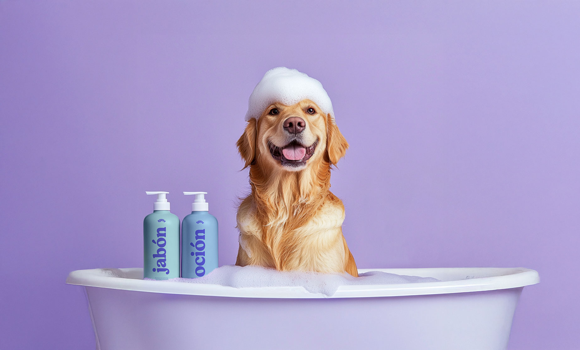 Golden retriever sonriente en bañera con espuma en la cabeza junto a productos de baño Pawys jabón y loción en envases azules sobre fondo morado fotografía de producto y diseño de empaque para marca colombiana de cuidado y bienestar de mascotas por Intacto Studio estudio de branding en Medellín y Bogotá Colombia.