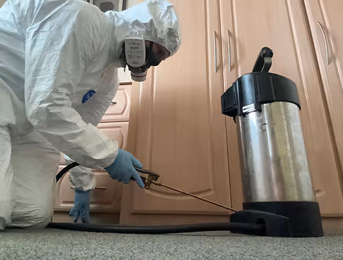 image of pest control procedures