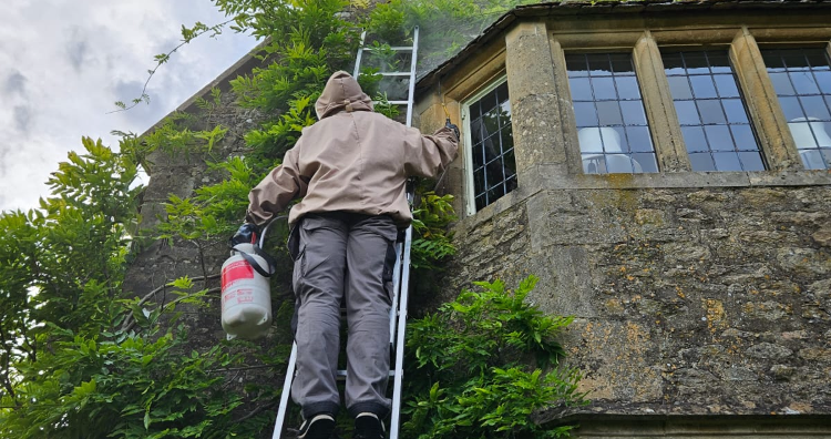 image of pest control procedures