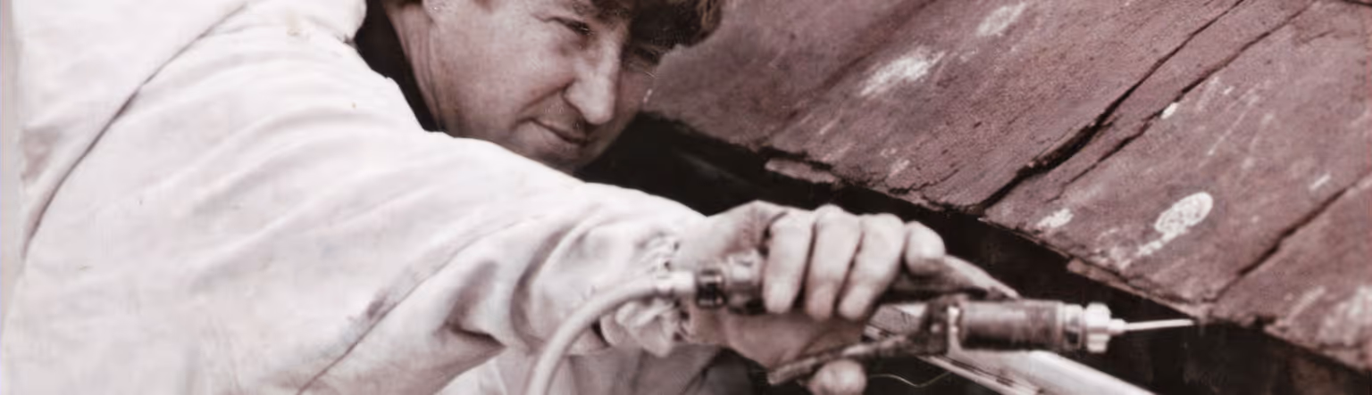 image of pest control procedures