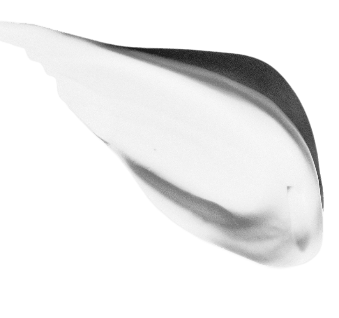 White Paint With Shadow - Skincare X Webflow Template