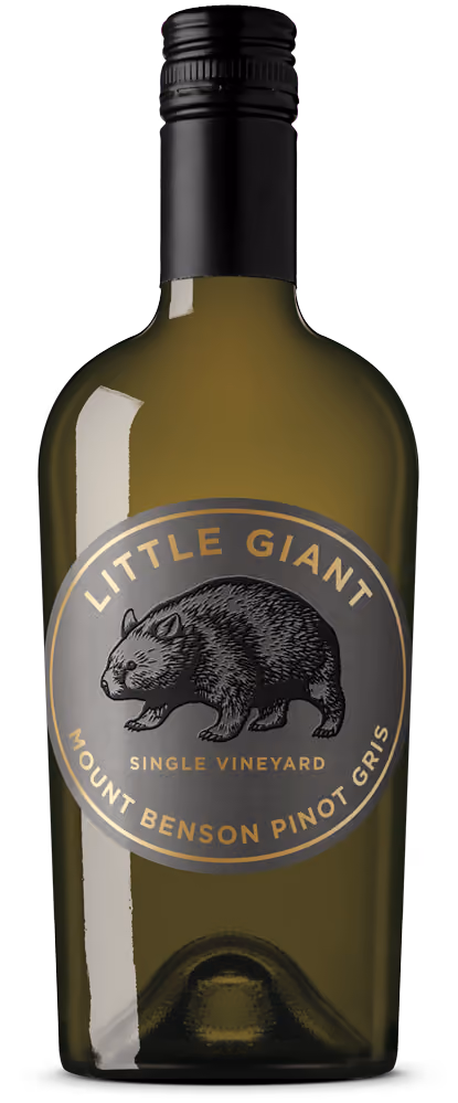 Little Giant Mount Benson Single Vineyard Pinot Gris