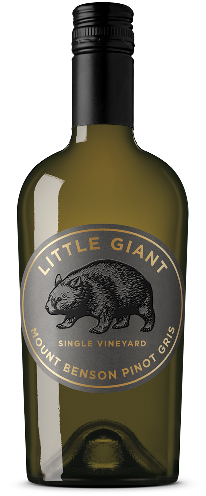 Little Giant Mount Benson Single Vineyard Pinot Gris