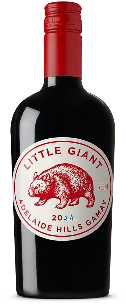 Little Giant Adelaide Hills Gamay