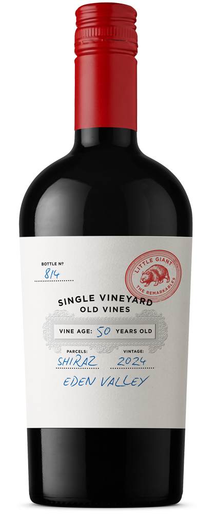 Little Giant Eden Valley 50yo Vines Shiraz