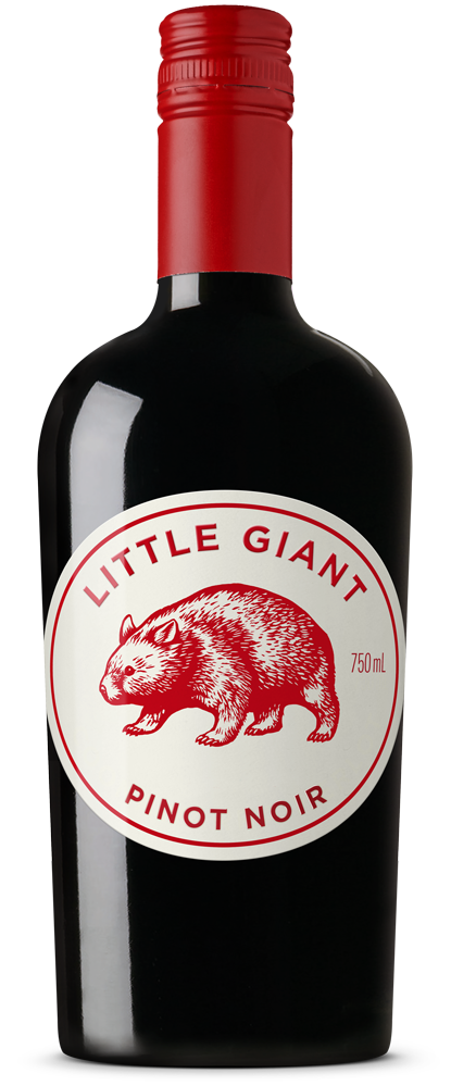Little Giant Pinot Noir