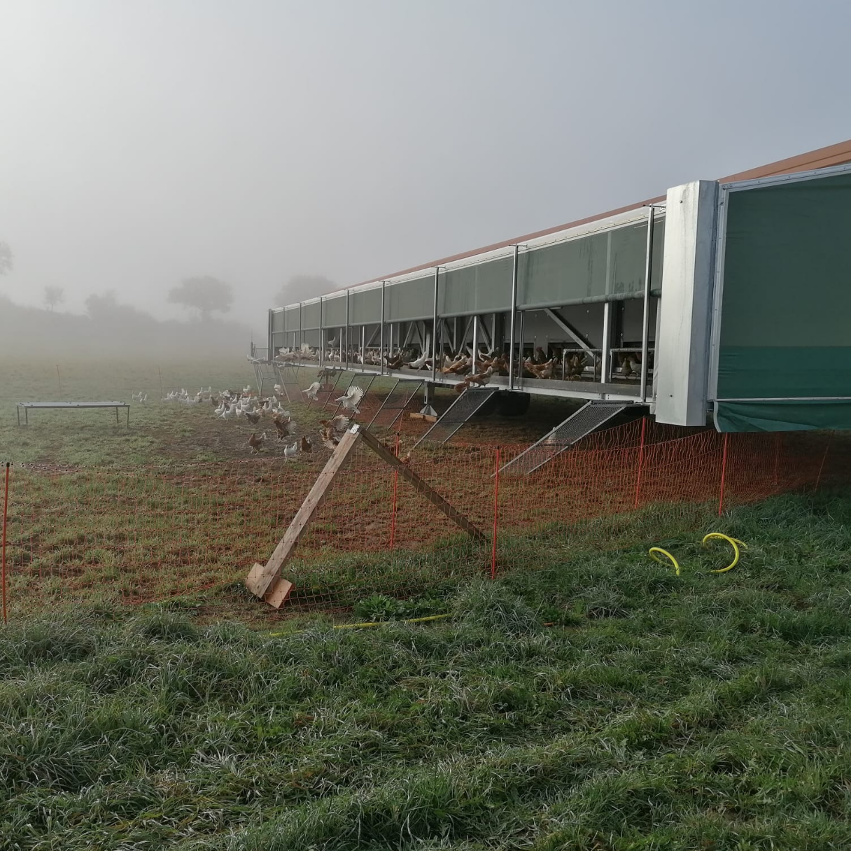 [background image] image of storefront (for a grocery store)