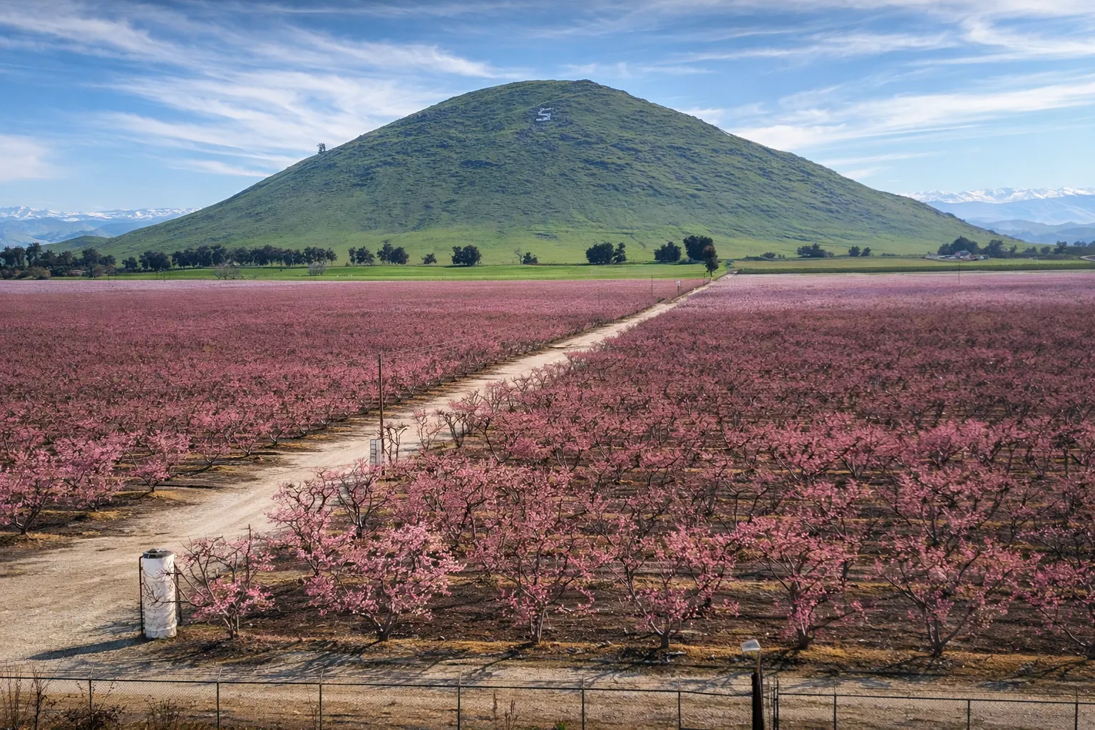 Central Valley farmland with mountain near Sanger, California