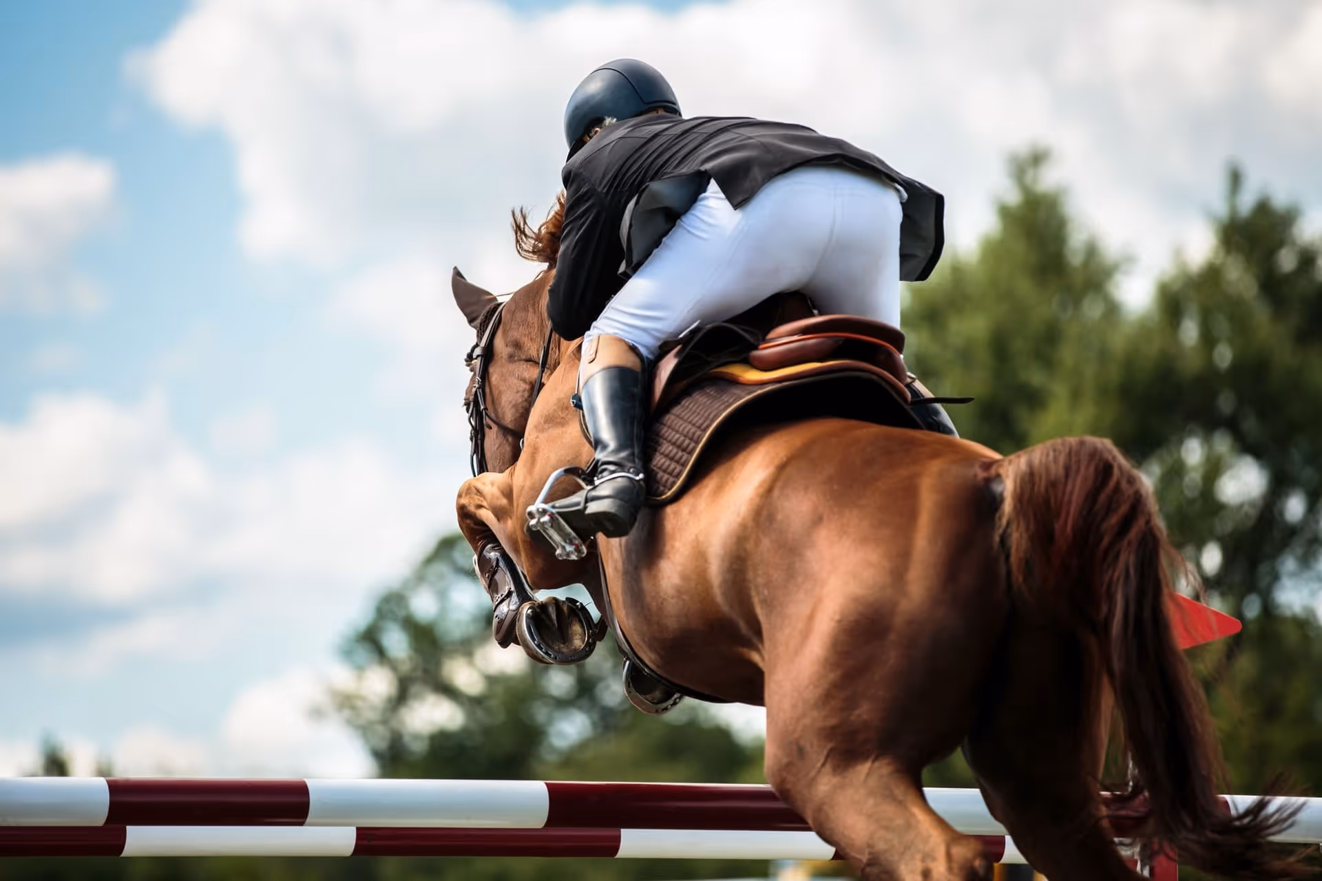 Equestrian competitions