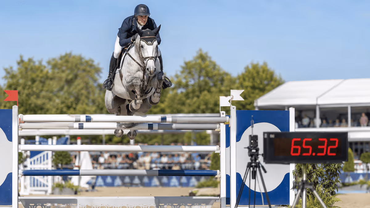 Show jumping et CSO