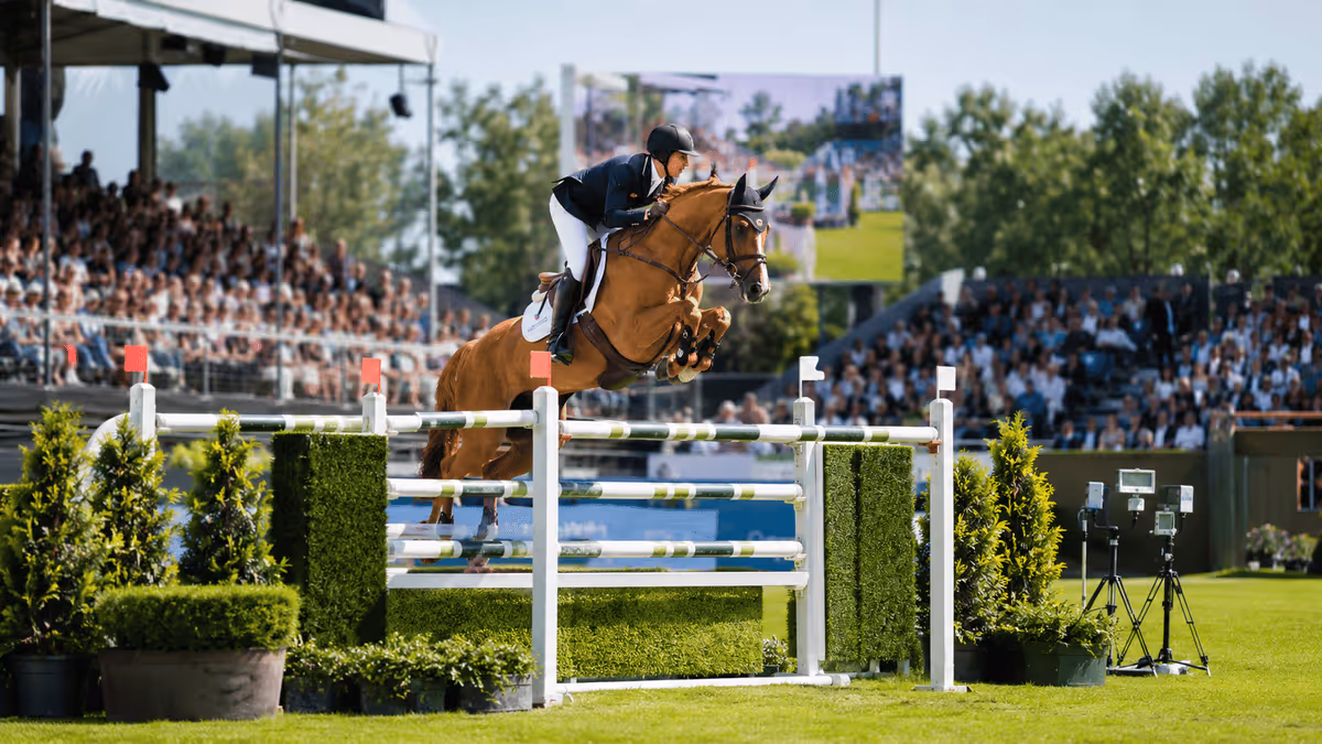 Grand Prix et compétitions internationales