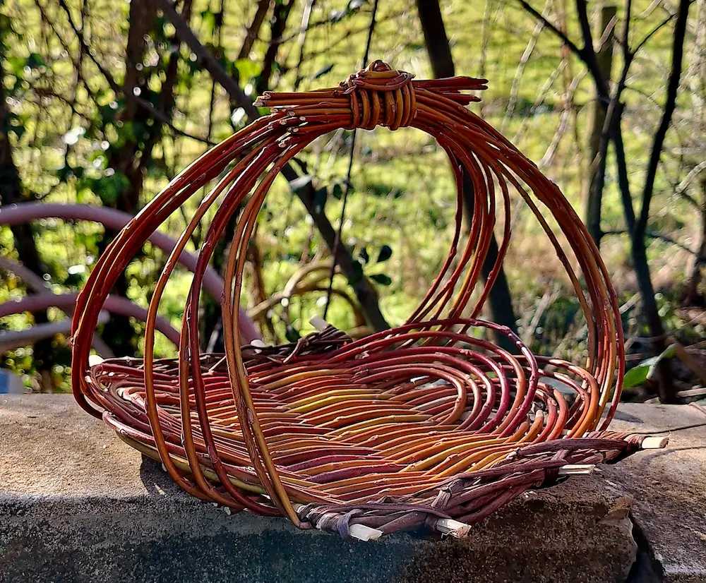 Ateliers thématique en vannerie : zarzo