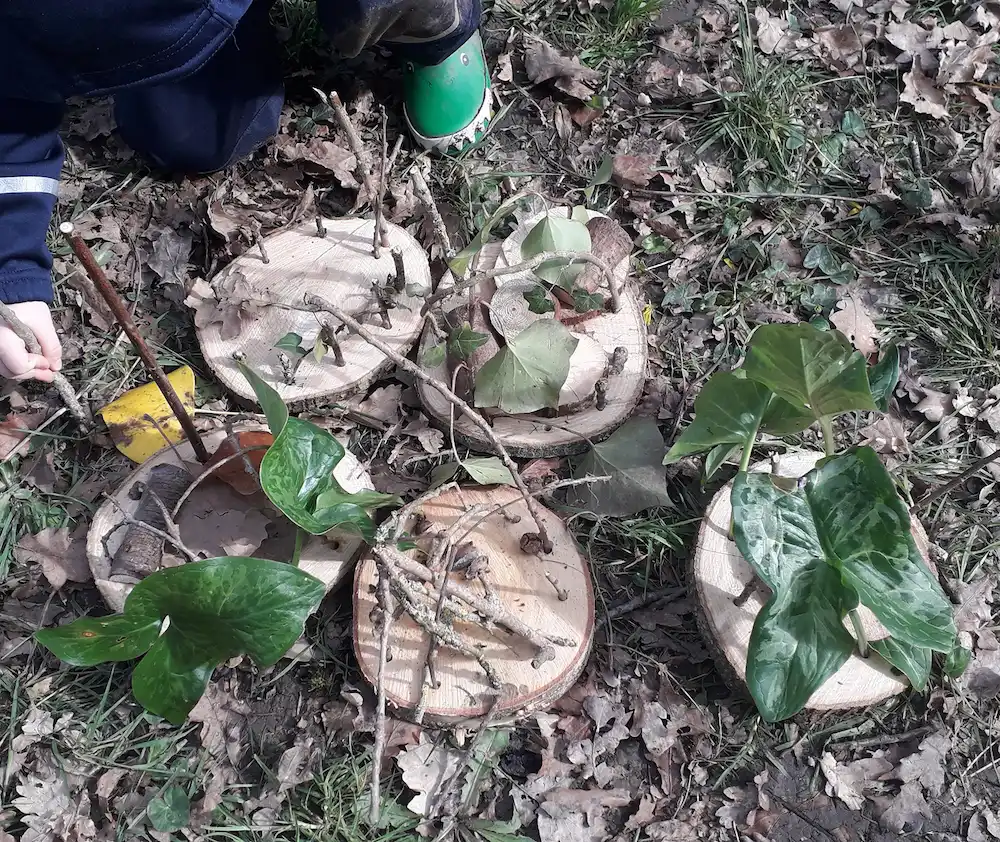 Animations vannerie pour des enfants - école du dehors et scolaire