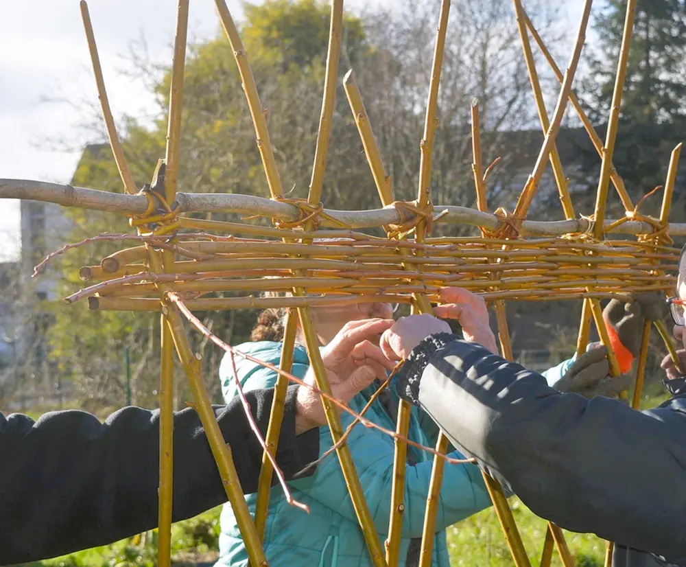 Atelier de cohésion d'équipe pour construire ensemble et découvrir la vannerie buissonnière