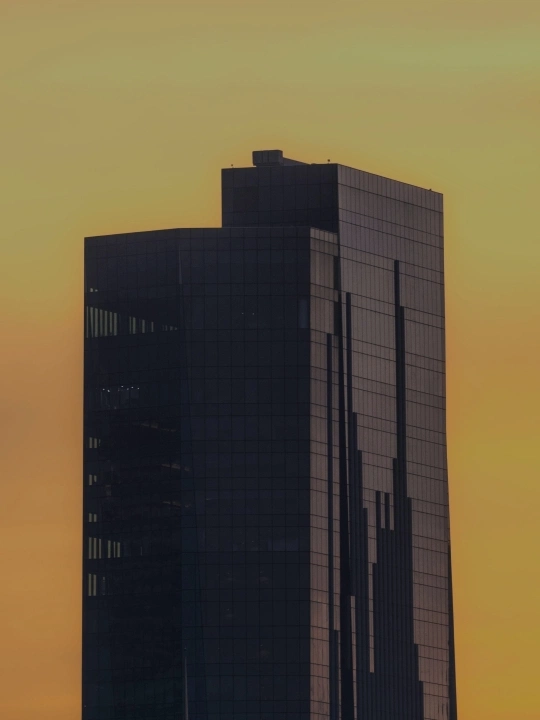 A low contrast image with yellow tone sky background