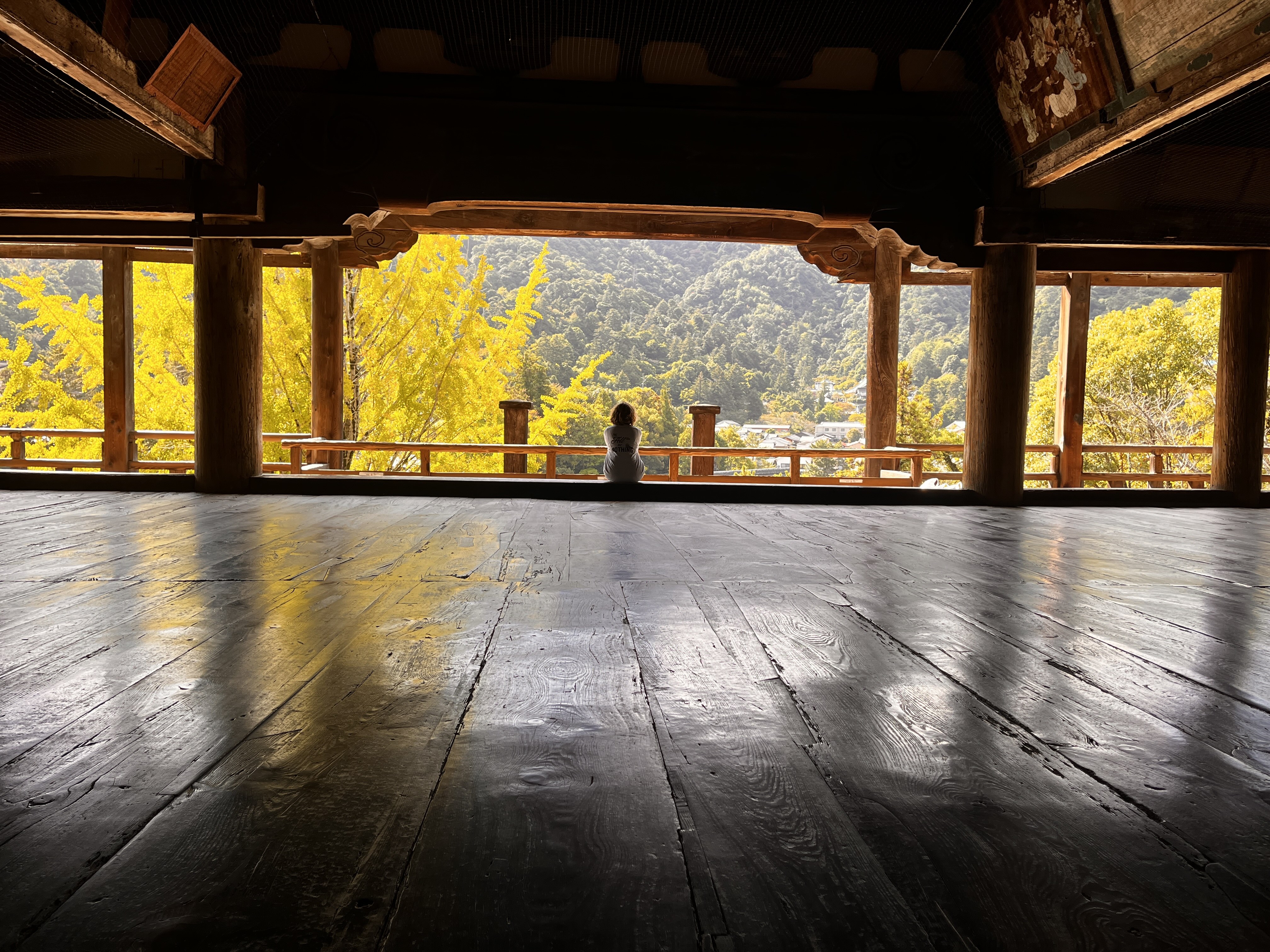 Person sitting alone on a wooden porch overlooking a valley with yellow autumn trees and distant mountains.