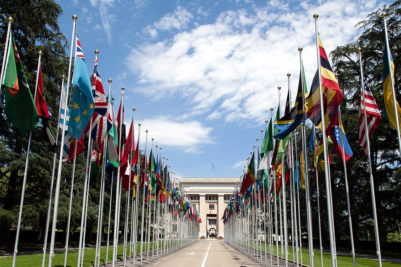 International & public organisations