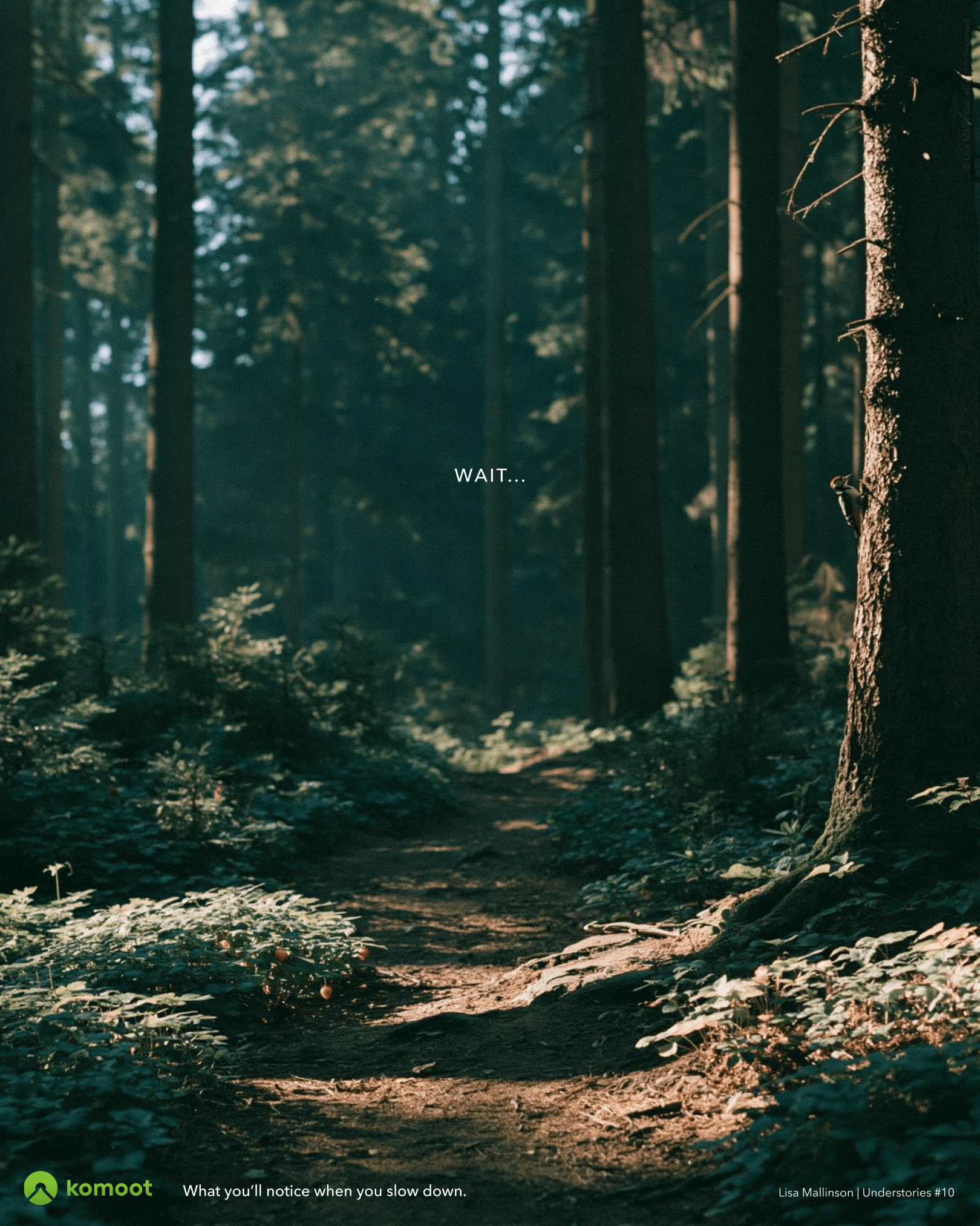 Komoot concept poster showing a quiet forest path with tiny details to discover: wild strawberries on the forest floor, a woodpecker on a tree trunk and a small lizard. Text reads: “Wait…” and “What you’ll notice when you slow down.”