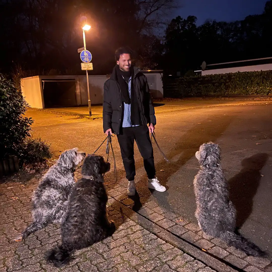 davis-schulz-2023-hunde(2)_instagram_ig_post_sq