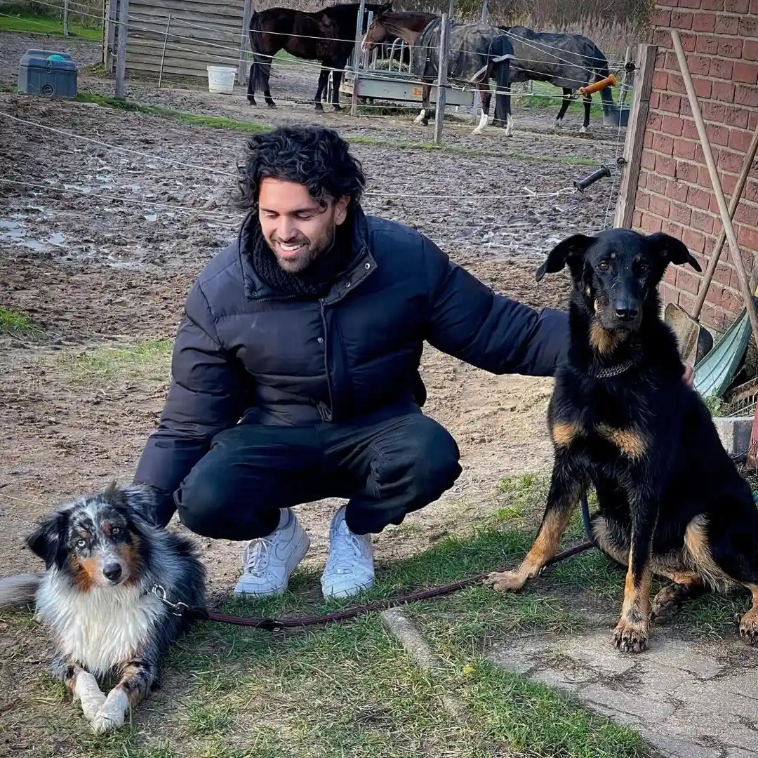 davis-schulz-2023-hunde