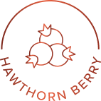 Hawthorn Berry Icon