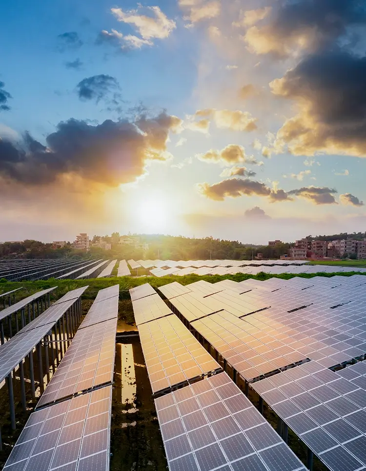 Rows of solar panels in a large solar farm beneath a glowing sunset and dramatic clouds
