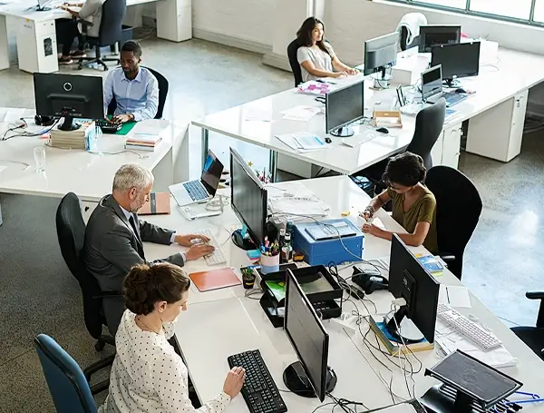 Employees working at desks in a bright open-plan office with computer monitors and large windows