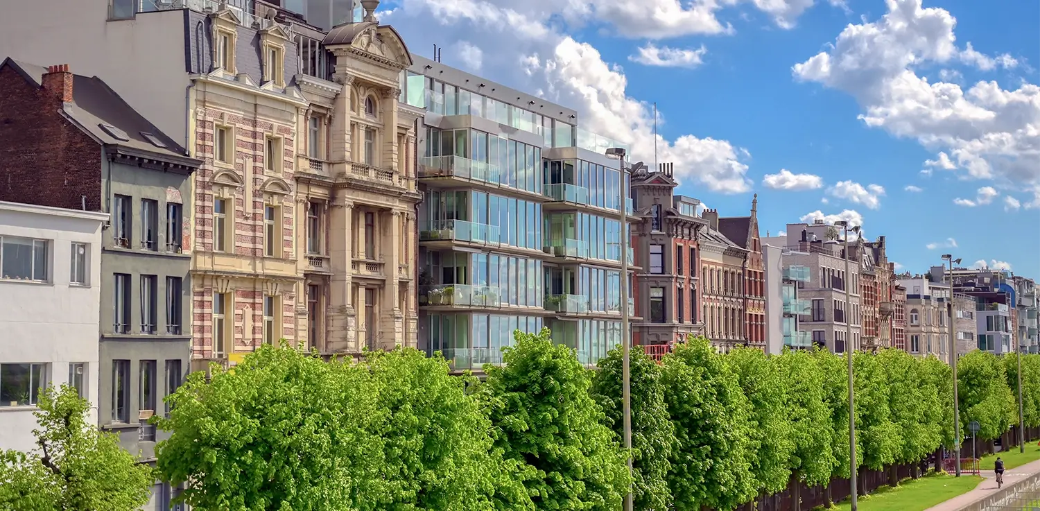 Street view in Antwerp with a mix of historic and modern buildings behind a row of green trees under a blue sky