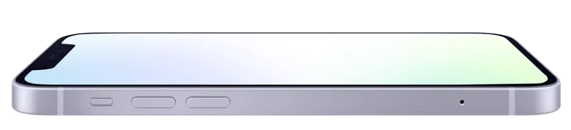 flutter development services